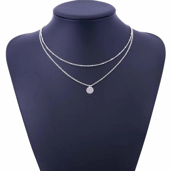 Jewelry - 🌟Silver Double Layer Necklace🌟